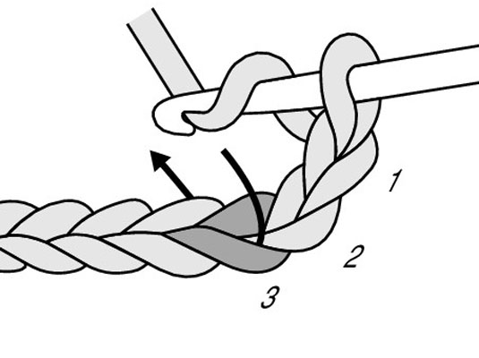 Insert the crochet hook in the third chain from the hook.